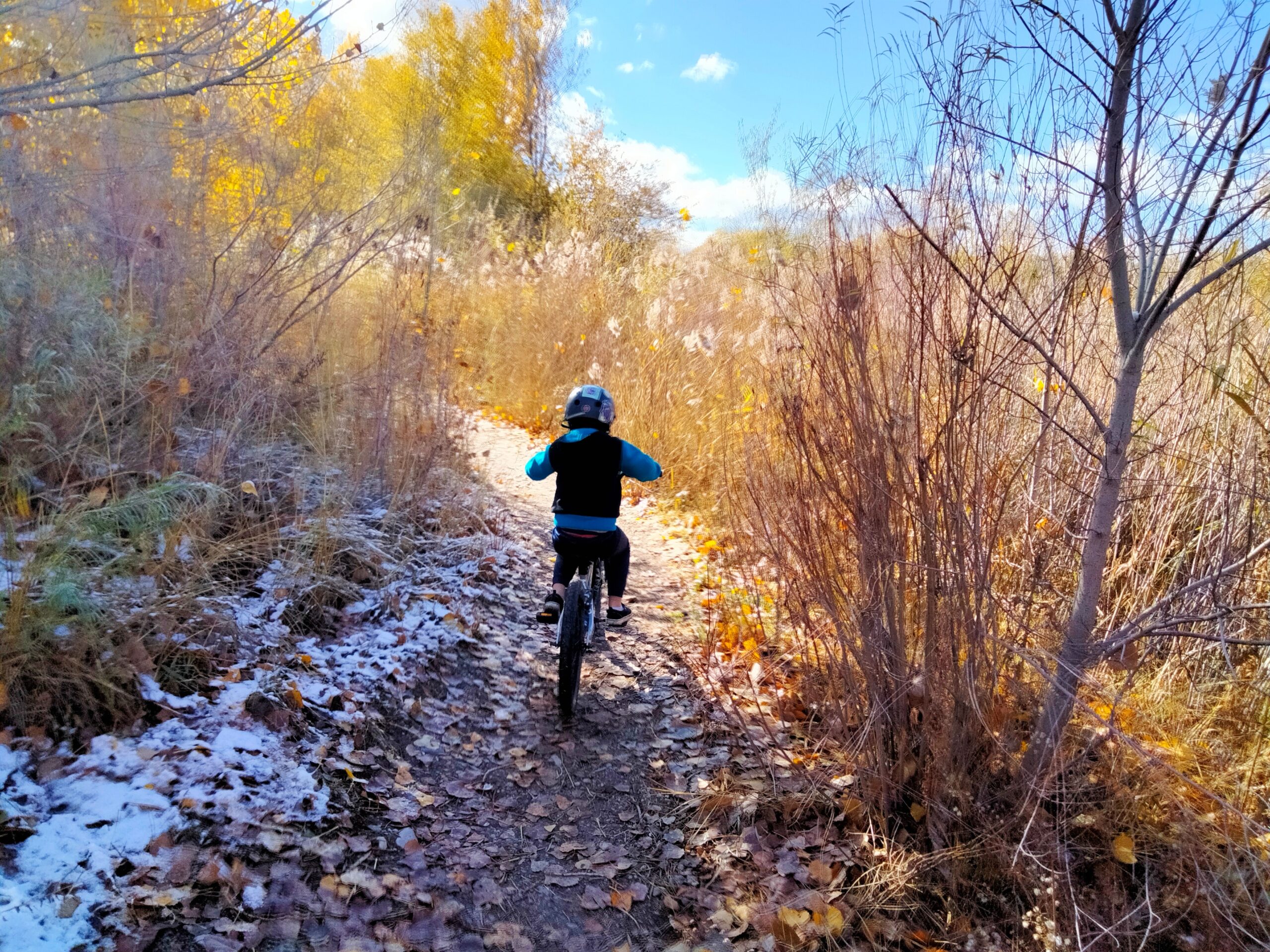 A child riding a mountain bike on a narrow, leaf-covered trail surrounded by tall grass and autumn foliage. The scene captures a sunny day with a bright blue sky peeking through the trees, and a hint of snow on the ground. Germania Park mountain bike trail.