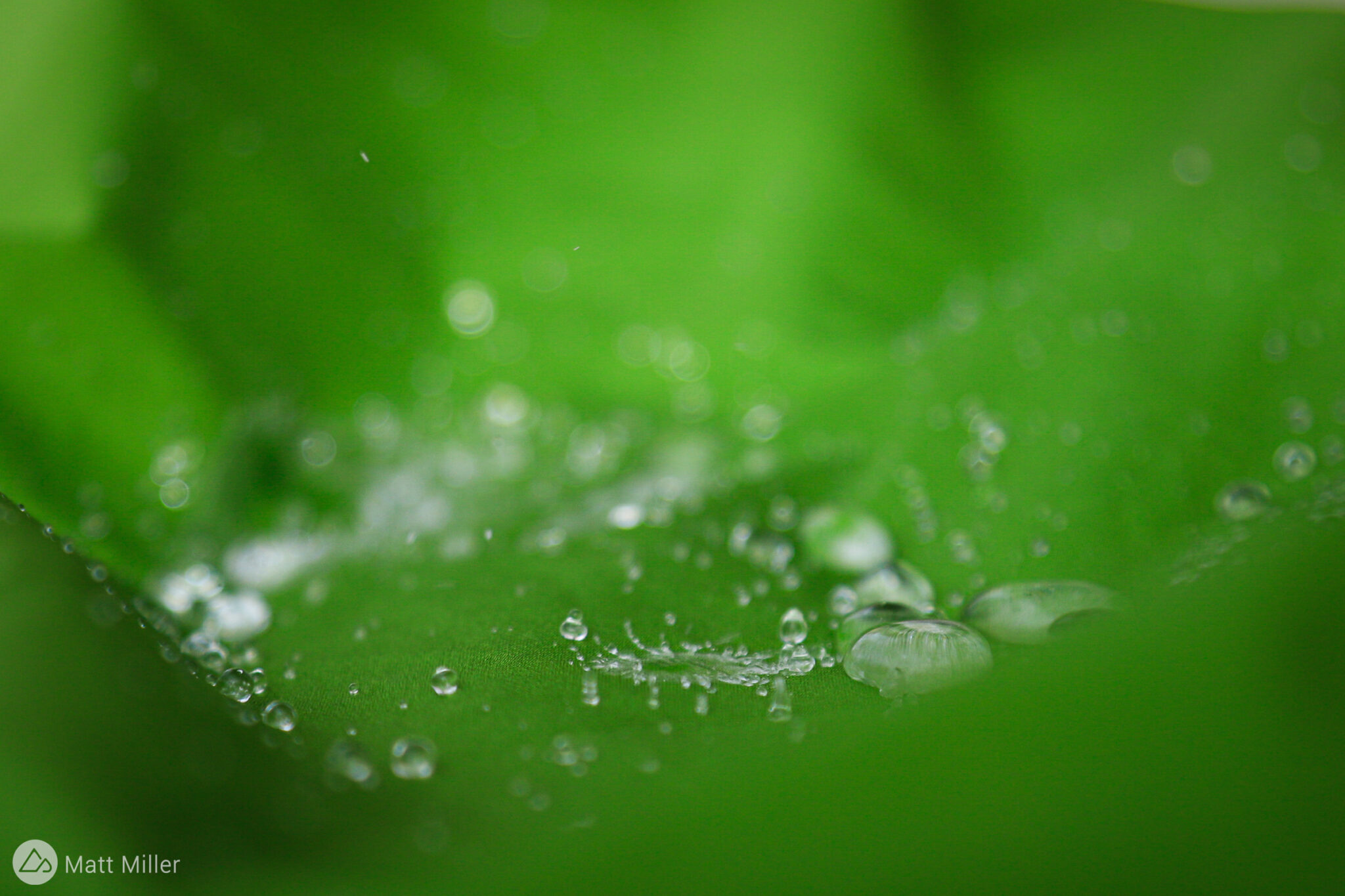 Why are Good Rain Jackets so Expensive? We had to Know Singletracks