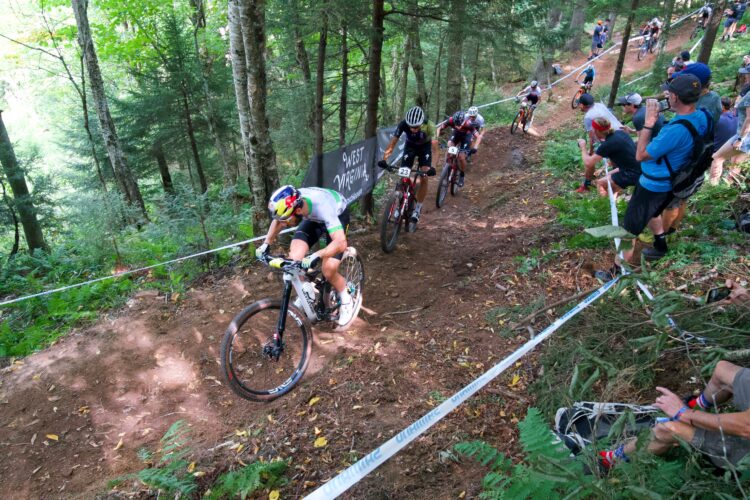 A group of mountain bikers competes on a wooded trail during a race. The scene captures bikers navigating a winding path through trees and ferns, with a crowd of spectators watching and cheering along the sidelines. The atmosphere is lively, showcasing the excitement of outdoor sports.