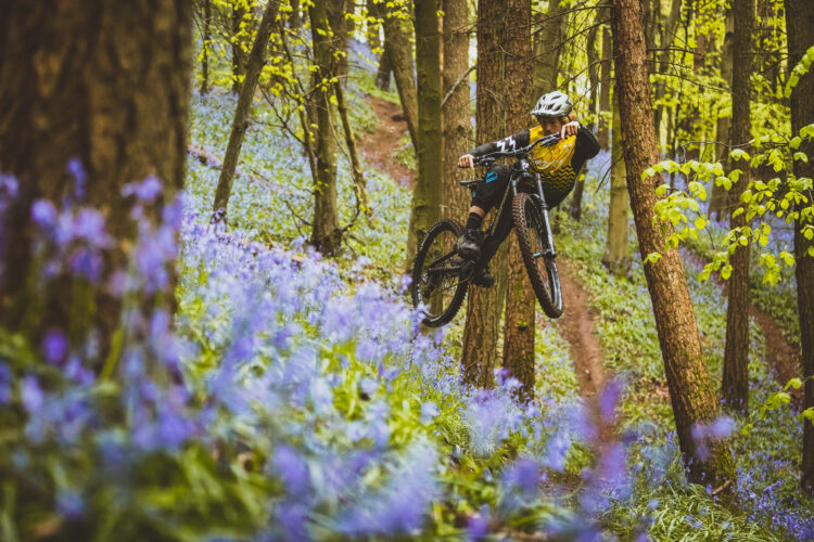 A mountain biker performs a jump on a trail surrounded by vibrant bluebell flowers and lush green trees in a forest setting. The scene captures the action and energy of outdoor biking in nature.