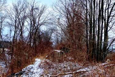 A winter landscape featuring bare trees and overgrown brush with a dusting of snow on the ground. A black bicycle is leaning against a pile of dirt on a small path that winds through the scene, leading towards a group of tall trees in the background under a cloudy sky. Parkhill Conservation area and rail trail mountain bike trail.