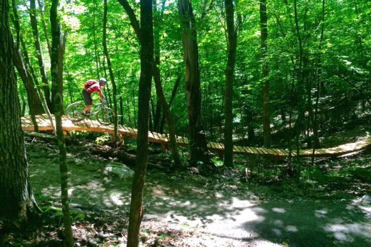 A mountain biker riding on a wooden bridge through a lush green forest, surrounded by tall trees and bright foliage.