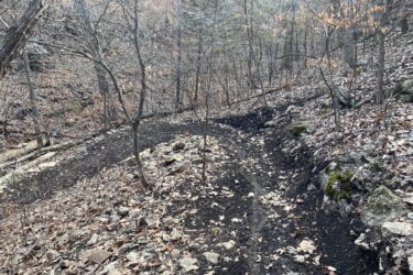 A winding dirt trail surrounded by bare trees and rocky terrain, covered with fallen leaves. The trail is primarily made up of dark soil, with visible rocks and a gently sloping incline in a forested area during late autumn. Cedar Niles Park mountain bike trail.