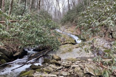 A serene forest scene featuring a flowing stream surrounded by lush greenery. Smooth rocks line the stream bed, and water cascades gently over the rocks, creating a peaceful atmosphere in a wooded area with trees and shrubs in the background. China Creek Trail mountain bike trail.