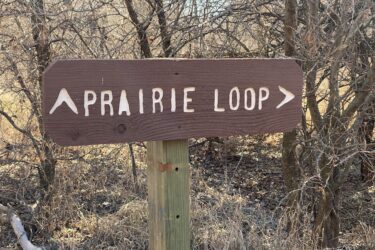 A wooden signpost indicating the direction of the "Prairie Loop" trail, with arrows pointing right. The sign is set against a backdrop of bare trees and dry grass, suggesting a natural outdoor setting. Cheney Lake Main Trail mountain bike trail.