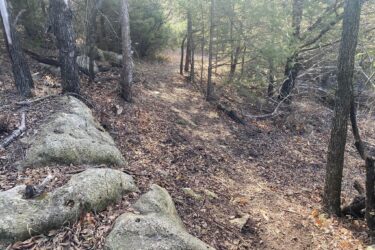 A narrow dirt path winding through a wooded area, flanked by rocks and trees. The ground is covered with fallen leaves, and sunlight filters through the trees, illuminating parts of the trail. North Loop mountain bike trail.