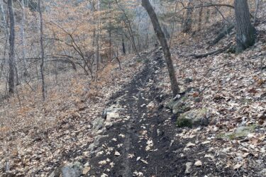 A narrow dirt trail winding through a wooded area, surrounded by trees with sparse leaves and scattered dry leaves on the ground. The scene captures a natural landscape in autumn or early winter, with rocks lining the side of the path. Cedar Niles Park mountain bike trail.