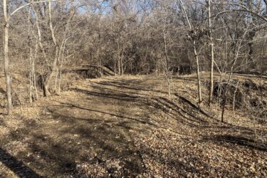A dirt path winding through a wooded area, surrounded by bare trees and scattered fallen leaves. The ground is uneven, with shadows cast by the trees, and the sky is clear and blue in the background. Cheney Lake Main Trail mountain bike trail.