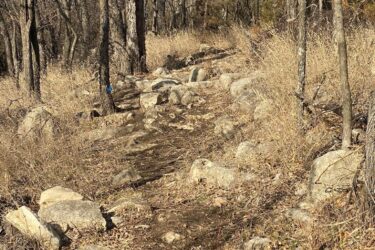 A rocky, winding trail through a wooded area, surrounded by trees with bare branches and patches of dry grass. Sunlight illuminates the path, highlighting the scattered stones along the trail. The scene conveys a peaceful, natural environment ideal for hiking or exploring. North Loop mountain bike trail.