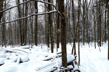 A snowy forest scene featuring bare trees and a thick blanket of snow covering the ground. An old, rusted bicycle is partially buried in the snow, alongside what appears to be wooden debris. A clear pathway can be seen winding through the snowy landscape. South March Highlands mountain bike trail.
