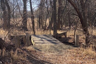 A wooden footbridge surrounded by bare trees and tall grass in a natural setting. The bridge connects two pathways amidst a tranquil outdoor landscape, illuminated by soft sunlight. Cheney Lake Main Trail mountain bike trail.