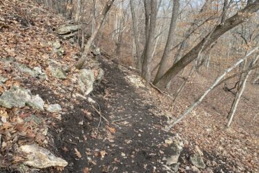 A narrow dirt path winding through a forested area, surrounded by rocky outcrops and scattered fallen leaves. The trees are bare, indicating late autumn or early winter, with some remaining dried leaves on the branches. Wildlife habitat and natural textures create a serene, rustic atmosphere. Cedar Niles Park mountain bike trail.