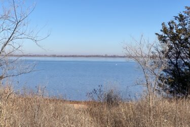 A serene landscape featuring a calm lake under a clear blue sky. In the foreground, dry grass and sparse trees frame the view. The tranquil water reflects the sky, with distant land visible along the horizon. A hint of wildlife is suggested by a lone white bird gracefully gliding across the lake. Cheney Lake Main Trail mountain bike trail.