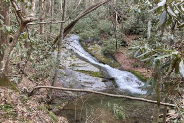 A tranquil forest scene featuring a gently flowing stream cascading over rocky terrain. The surrounding area is filled with bare trees and lush green foliage, creating a serene and natural atmosphere. The ground is covered with fallen leaves, and the light filtering through the trees adds to the peaceful ambiance. China Creek Trail mountain bike trail.