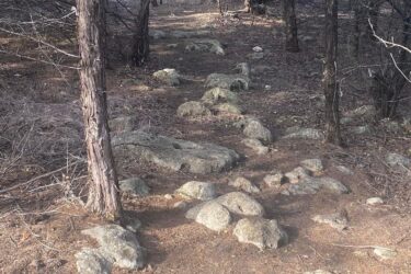 A rocky path winding through a sparse forest with trees on either side, featuring a mix of dirt and scattered stones, under soft, dappled sunlight. North Loop mountain bike trail.