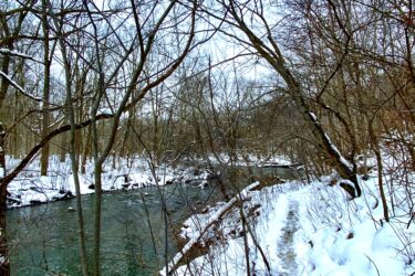 A tranquil winter scene along a riverbank, featuring a narrow, snow-covered path bordered by bare trees and tangled branches. The river flows gently on one side, reflecting the grey sky above, while the surrounding landscape is blanketed in a layer of fresh snow. Western University trails mountain bike trail.