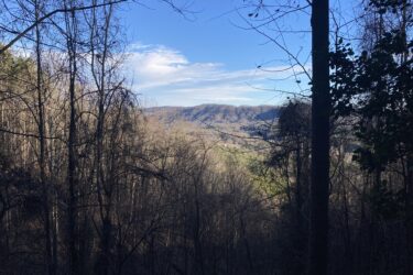 A scenic view of a forested valley during late autumn, featuring bare trees and distant mountains under a clear blue sky with scattered clouds. The foreground includes dark tree trunks and branches, leading into a lighter, grassy area in the valley. Gem Mine mountain bike trail.
