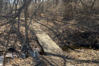 A sunlit path through a wooded area, featuring a small wooden bridge crossing over a narrow creek. The ground is covered in brown, fallen leaves, with bare trees and branches creating a natural frame along the sides of the trail. Cheney Lake Main Trail mountain bike trail.