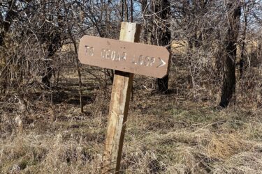 A weathered wooden signpost indicating the direction to "Cedar Loop," surrounded by sparse vegetation and trees. Cheney Lake Main Trail mountain bike trail.