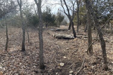 A wooded area with sparse trees and scattered rocks, showing a dirt path surrounded by fallen leaves and dry underbrush under a cloudy sky. Boulder Bluff Horse Trail mountain bike trail.