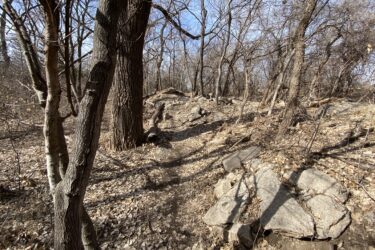 A winding dirt path meanders through a wooded area, flanked by bare trees and patches of exposed rocks. The ground is covered with fallen leaves, and the sky above is clear and blue, suggesting a crisp, sunny day. Air Capital Memorial Park mountain bike trail.