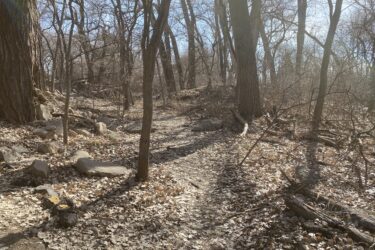 A winding dirt path through a wooded area, surrounded by bare trees and scattered leaves on the ground. Sunlight filters through the branches, creating shadows along the trail, which is bordered by rocks and fallen branches. Air Capital Memorial Park mountain bike trail.