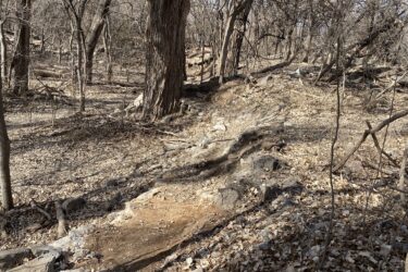 A winding dirt pathway through a wooded area, marked by leaf litter and scattered rocks. The trees are bare, indicating early spring or late autumn, with some fallen branches visible in the surroundings. Air Capital Memorial Park mountain bike trail.