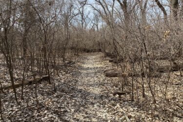 A narrow, winding dirt path leads through a sparse, leaf-covered forest with bare trees. Dry leaves cover the ground, and the branches are intertwined, creating a natural canopy. The sky is partly cloudy, hinting at early spring or late fall in this tranquil outdoor setting. Air Capital Memorial Park mountain bike trail.