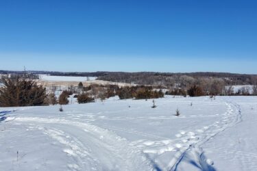 A winter landscape featuring a vast expanse of snow-covered fields and a clear blue sky. In the foreground, there are small shrubs and tracks in the snow leading towards the horizon. In the background, rolling hills and a line of trees are visible, creating a serene and peaceful rural scene. Monarch mountain bike trail.