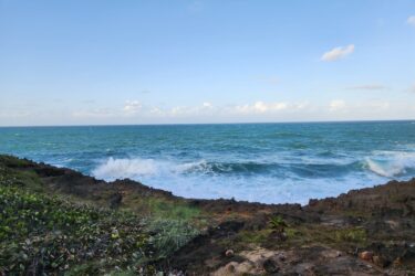 Coastal scene showing a rocky shoreline with lush greenery in the foreground and waves crashing against the rocks. The ocean is a vibrant blue under a clear sky with a few clouds scattered above. Cerro Gordo Trail mountain bike trail.