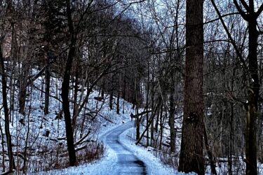 A winding path covered in snow, surrounded by bare trees on either side, with a clear sky above. The path leads into the distance, disappearing around a curve. The scene evokes a tranquil winter landscape. Springbank park mountain bike trail.