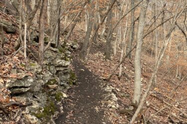 A narrow dirt trail winding through a wooded area with bare trees and scattered leaves on the ground, bordered by a stone wall on one side. The scene reflects a serene, natural setting in late autumn or early winter. Cedar Niles Park mountain bike trail.