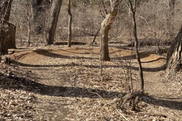 A winding dirt path surrounded by bare trees and scattered dry leaves in a wooded area. Sunlight filters through the branches, casting shadows on the trail. Air Capital Memorial Park mountain bike trail.