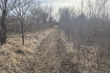 A narrow dirt path lined with bare trees and shrubs, leading into a distant horizon under a partly cloudy sky. The ground is covered with dry grass and leaves, suggesting early spring or late autumn conditions. Boulder Bluff Horse Trail mountain bike trail.