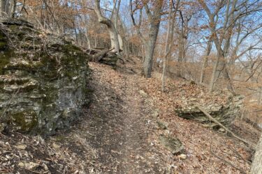 A winding dirt trail surrounded by rocky outcrops and leafless trees in a forest during autumn. The ground is covered with fallen leaves, and the clear blue sky is visible above. Cedar Niles Park mountain bike trail.