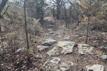 A rocky hiking trail surrounded by trees and sparse vegetation, with sunlight filtering through the branches. The path is uneven and covered in leaves, leading into the distance. Boulder Bluff Horse Trail mountain bike trail.