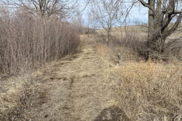 A dirt path winding through a landscape with sparse trees and shrubs, including thin brown bushes on either side and patches of dry grass. The scene is set under a cloudy sky, suggesting a cool, early spring day. Boulder Bluff Horse Trail mountain bike trail.