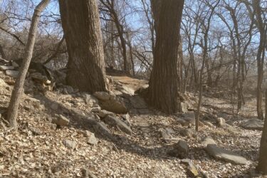 A pathway winding through a wooded area, framed by two large trees. The ground is covered with a layer of dry leaves and scattered rocks. Leafless trees are in the background under a clear blue sky. Air Capital Memorial Park mountain bike trail.