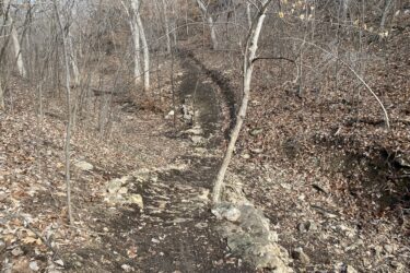 A winding dirt path surrounded by bare trees and scattered leaves in a forest setting. The trail is lined with small stones, and the ground is mostly clear of snow, indicating a late fall or early winter atmosphere. Cedar Niles Park mountain bike trail.