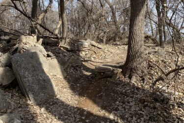 Pathway winding through a wooded area with bare trees and scattered rocks, covered in a layer of dried leaves. Sunlight filters through the branches, creating shadows on the ground. A small wooden bench is positioned along the trail. Air Capital Memorial Park mountain bike trail.