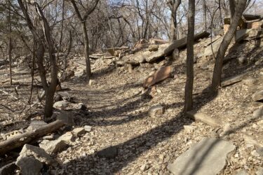 A winding dirt path through a woodland area, surrounded by bare trees and scattered rocks. The ground is covered with dried leaves and fallen branches, creating a natural, rustic atmosphere. Sunlight casts shadows along the path, highlighting the textures of the earth and the surrounding foliage. Air Capital Memorial Park mountain bike trail.