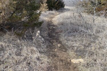 A narrow dirt path winding through dry, grassy terrain, flanked by sparse trees. The surrounding vegetation appears parched, indicating a lack of moisture. The sky is clear, suggesting a bright day. Boulder Bluff Horse Trail mountain bike trail.