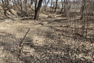 A winding path made of wooden planks traverses a forest floor covered in fallen leaves. In the background, bare trees reach toward a bright blue sky, with a building partially visible on the left side. The scene captures a serene, natural environment in early spring or late autumn. Air Capital Memorial Park mountain bike trail.
