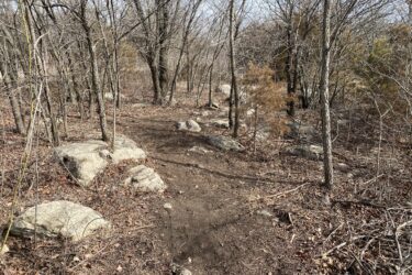 A narrow trail winding through a sparse forest with bare trees and scattered rocks, surrounded by fallen leaves and underbrush on a clear day. Boulder Bluff Horse Trail mountain bike trail.