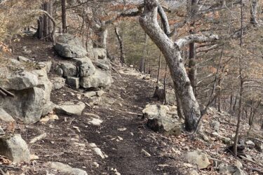 A winding dirt path surrounded by rocky terrain and trees, with some remaining autumn leaves, indicating a forest landscape in a serene outdoor setting. Cedar Niles Park mountain bike trail.