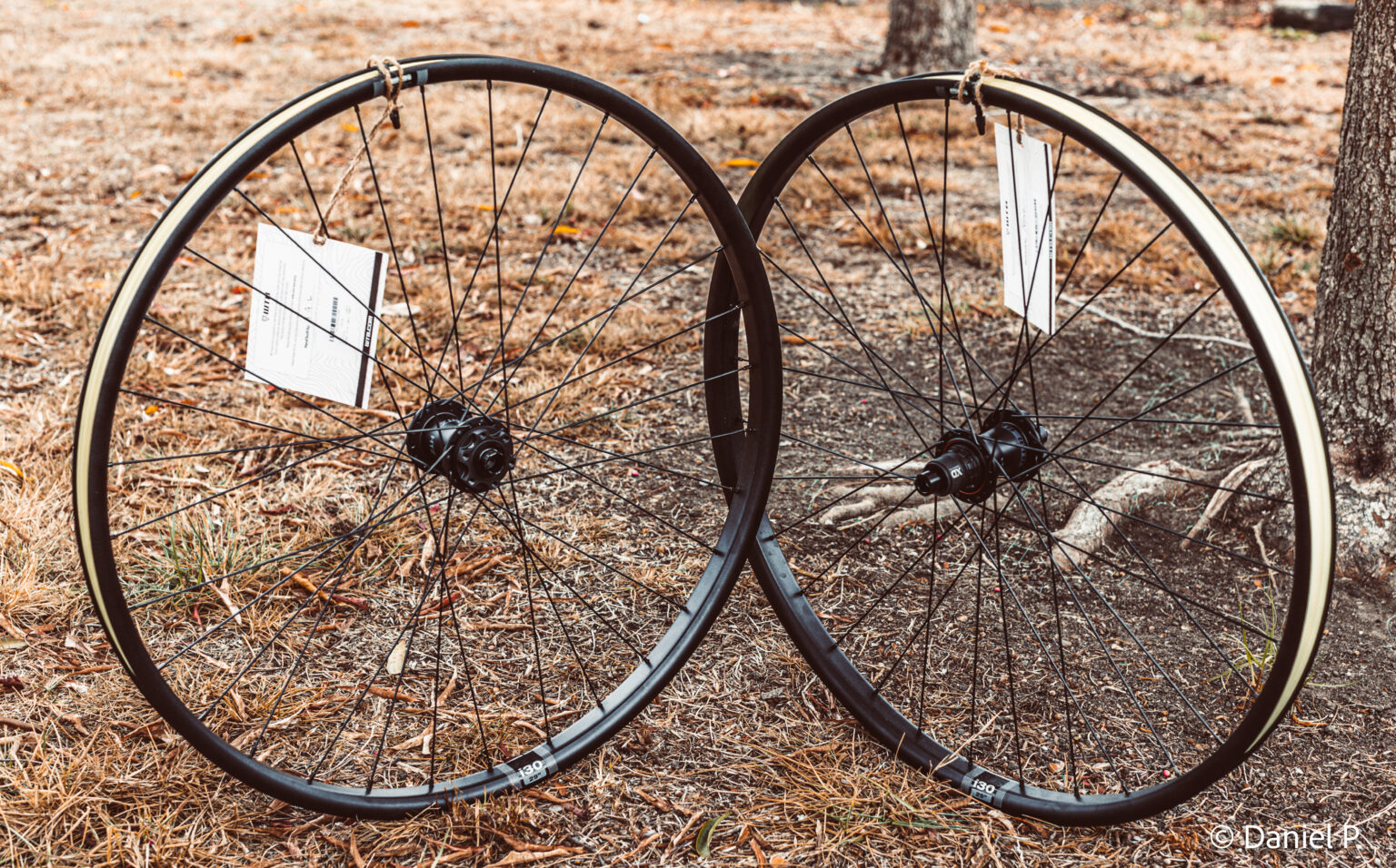 WTB HTZ i30 Alloy eMTB Wheelset Will Get Riders Amped [Review
