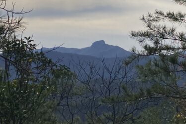 A distant mountain peak rises above a tree-lined landscape under a cloudy sky. Silhouetted against the clouds, the peak features a distinctive flat top, framed by scattered branches and green foliage in the foreground. Sinkhole mountain bike trail.