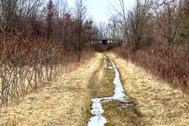 A dirt path running through a sparse, wooded area, bordered by tall grasses and bare trees. A small stream of water flows along the center of the path, reflecting the overcast sky above. In the background, a bridge can be seen crossing over the path, surrounded by the winter landscape. Port Burwell Provincial Park mountain bike trail.