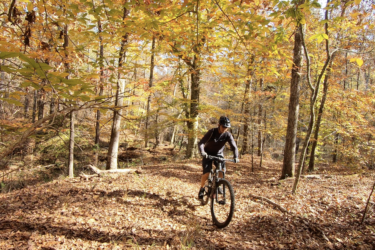 A mountain biker riding through a wooded trail covered in fallen leaves during autumn, with vibrant yellow and orange leaves on the trees in the background. Hard Labor Creek State Park mountain bike trail.
