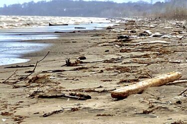 A beach scene featuring a sandy shoreline littered with driftwood and debris. The waves are visible in the background, with a gray sky overhead and hills in the distance, where wind turbines can be seen. The atmosphere appears overcast and tranquil. Port Burwell Provincial Park mountain bike trail.